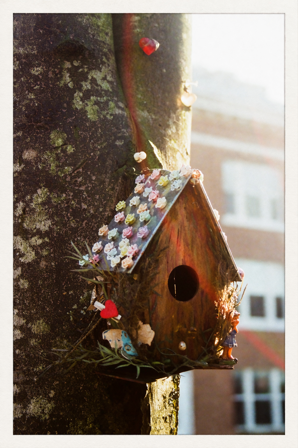 Birdhouse (35mm Film Photography Print)