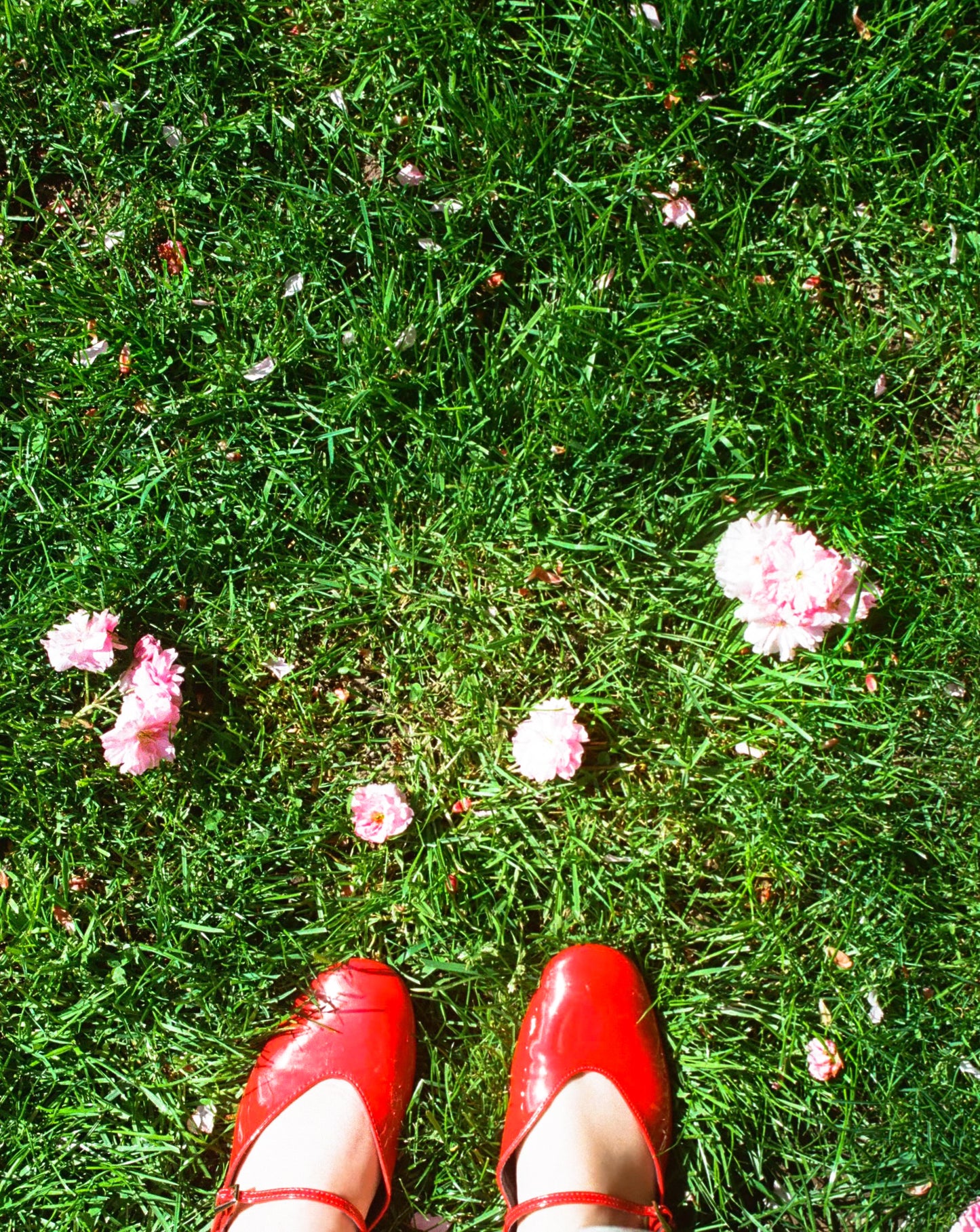 Smelling Flowers
