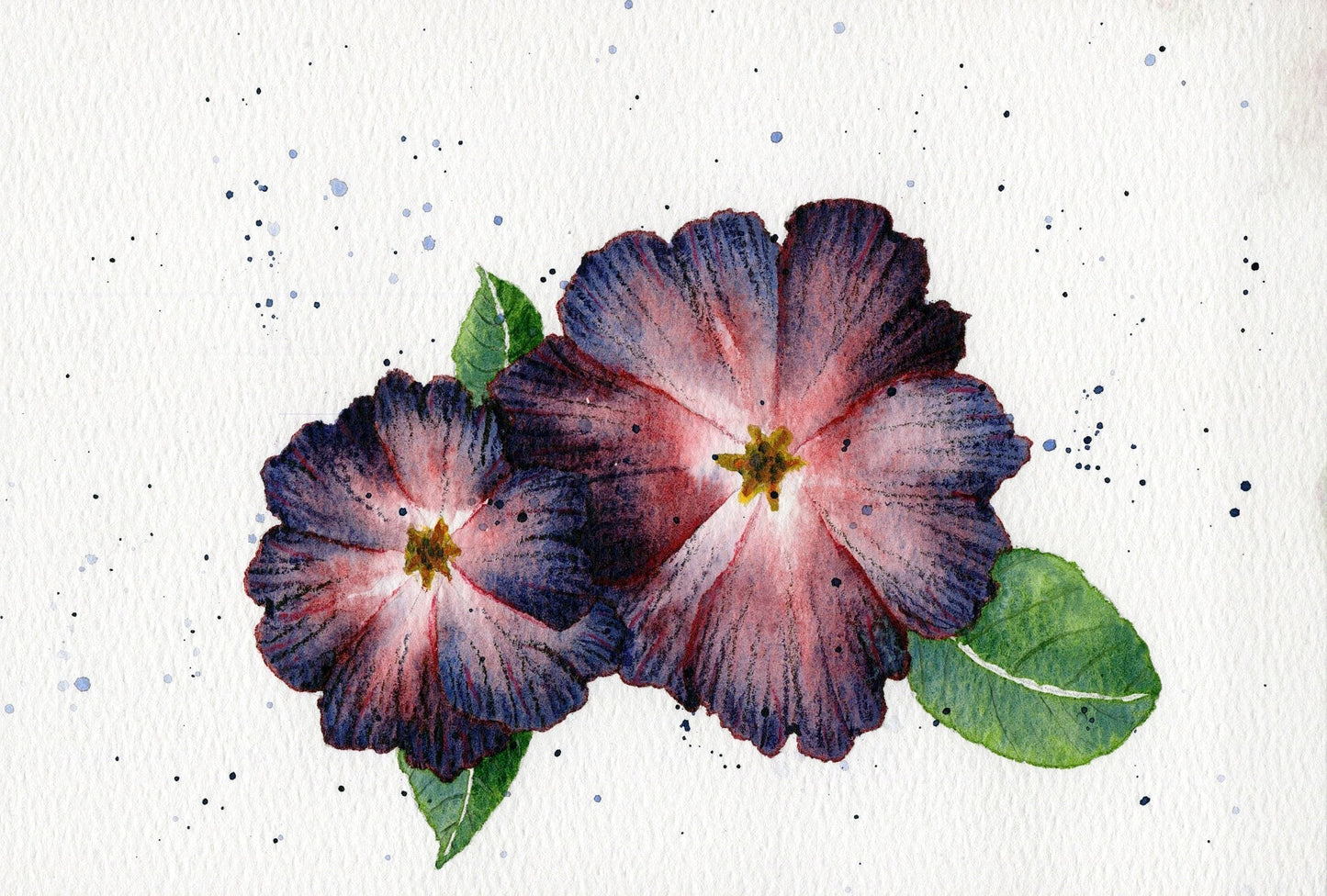 Blooming