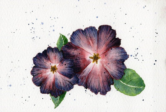 Blooming