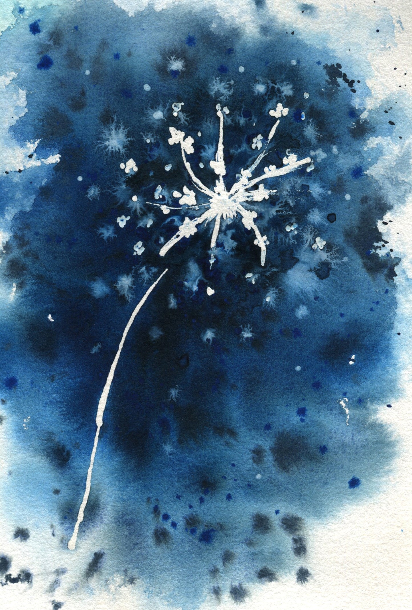 Dandelion  Playing with negative space  