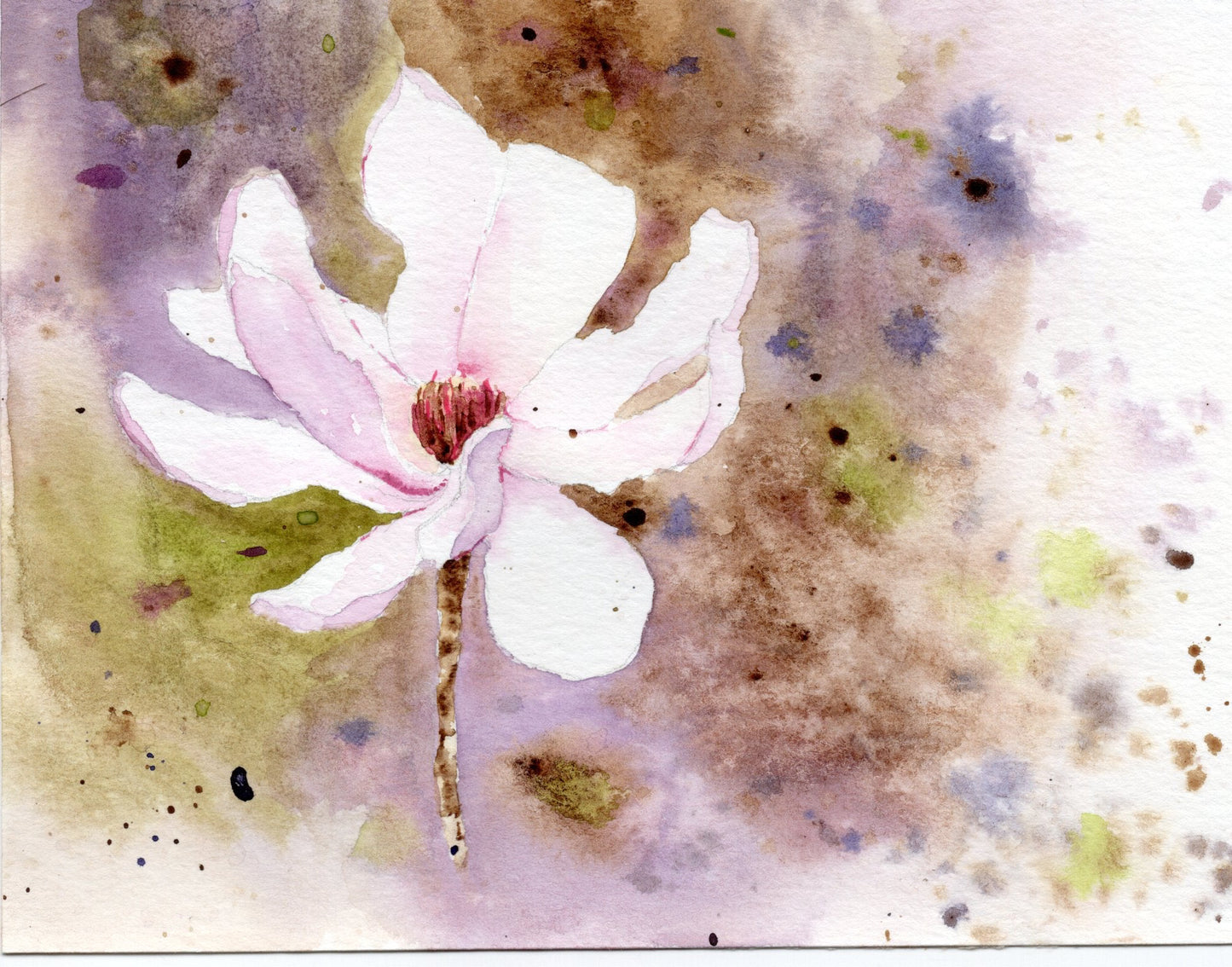 Magnolia